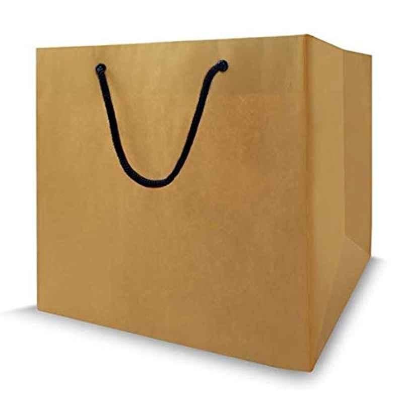 Kraft Paper Bag / Takeaway Bag (13.5 Inches*9.5 Inches*4.5 Inches) – The  Art Connect