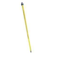 BEXCO 300mm Mercury Thermometer with Handle for Adults (Pack of 2)