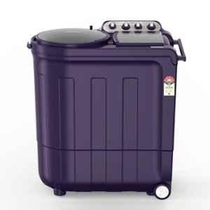 Whirlpool Ace-Turbo-Dry 8kg 5 Star Hi-Fiber Purple Dazzle Semi Automatic Top Load Washing Machine