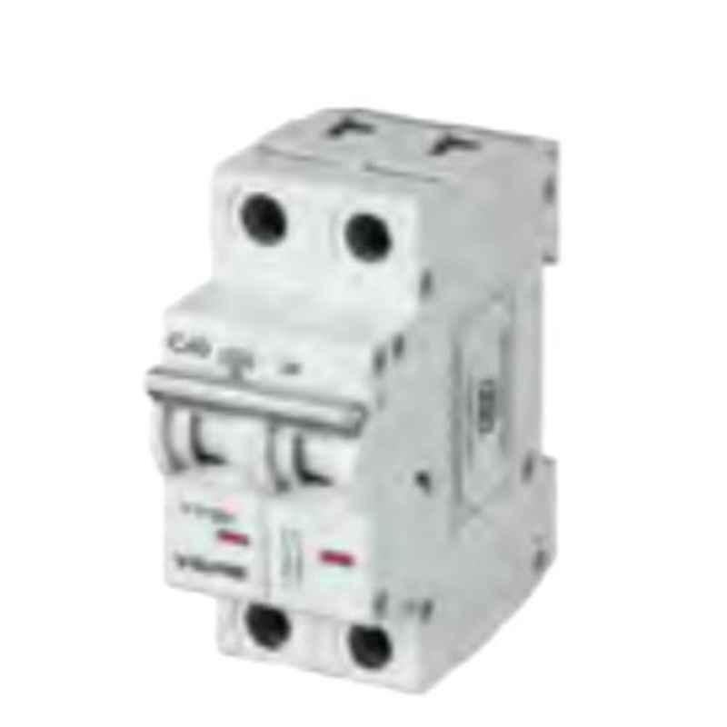 V-Guard 25A 100mA Double Pole RCCB, 1501487