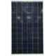 PowerHouse 250W 24V Polycrystalline Solar Panel, PWHP250