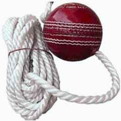 Weber TG138 Red Leather Cricket Hanging Ball for Shot Practice