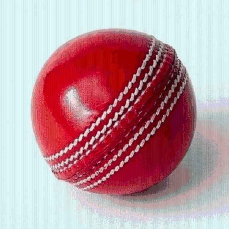 Krasava 003 Premium Leather Cricket Ball