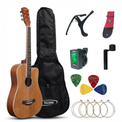 Techno 38 inch Linden Wood Brown Right Hand Orientation Semi-Acoustic Guitar, RJ-038IN-NT