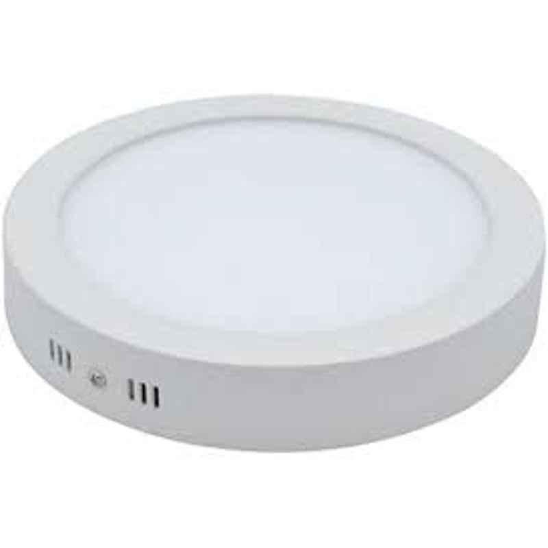 Abbasali 30W 10 inch Warm White Round Surface LED Ceiling Panel Light