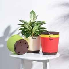 Ugaoo 5 Pcs 7 inch Multicolour Krish Self-Watering Pots Set, NUPPS383