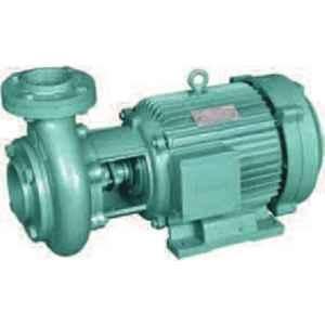 Three Phase TEFC Class A Monoblock Pump 