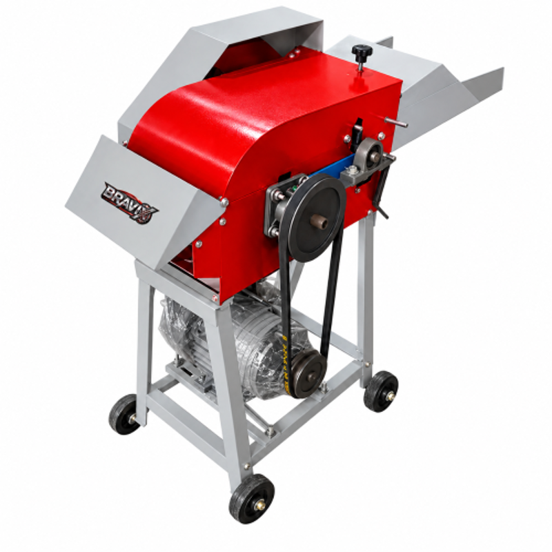 Bravix 3HP Single Phase 50-80kg/hr Cast Iron Animal Feed Pellet Making Machine