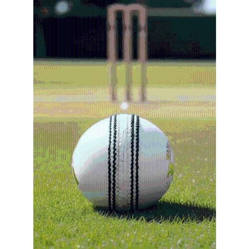 HTM Cricket Leather Ball for training, Hobby Play & casual matches Cricket Leather Ball (White)