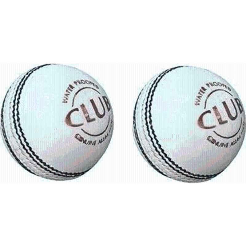 RB Sports Sports White Leather Ball for Practice (Pack of 2) Cricket Leather Ball (Pack of 2) White)
