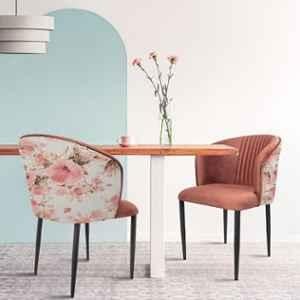Rose Fire 2 Pcs Velvet & Wood Glory Pink Medium Back Dining Chair Set for Living Room, Bedroom, Restroom & Restaurant