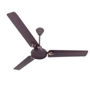 Crompton Bruna 72W Berry Blast Ceiling Fan, Sweep: 1200 mm