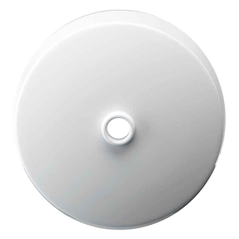 RR 6A Ceiling Rose with Clear Base, W9009