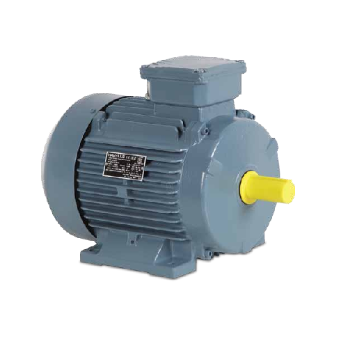 Three-Phase Induction Motor Solution