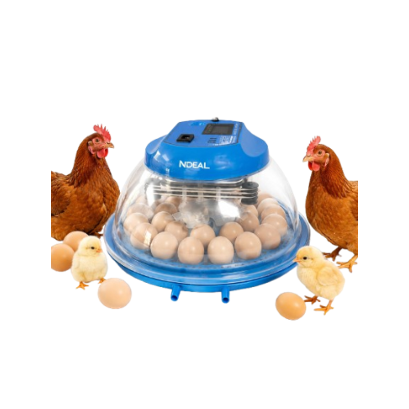 Ndeal 26 Egg 50W Plastic Blue Automatic Egg incubator with Humidity Meter