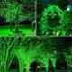 Ever Forever 10m Green LED Pixel String, GRPIXSTRG10M1PC