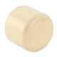 Astral CPVC Pro 50mm End Cap, M512114106