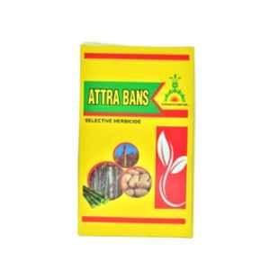 Shurbans 500g Atrazine 50% WP Attra Bans Selective Herbicide (Pack of 10)