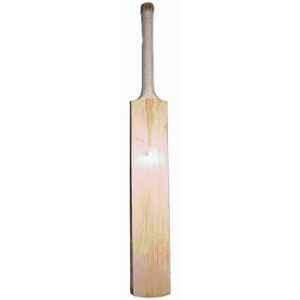 Matrica Platinum 1150-1300g Kashmir Willow Cricket Bat with Cover for 15+ Years, Size: Full