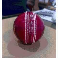 Wingspot Red Leather Cricket Ball