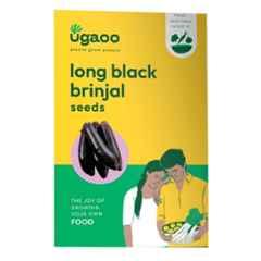Ugaoo 2g Vegetable Brinjal Seeds, NUVSO056