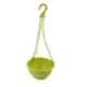 Gardens Need 5 Pcs 17x17x10cm 7 inch Venus Lemon Green Hanging Basket