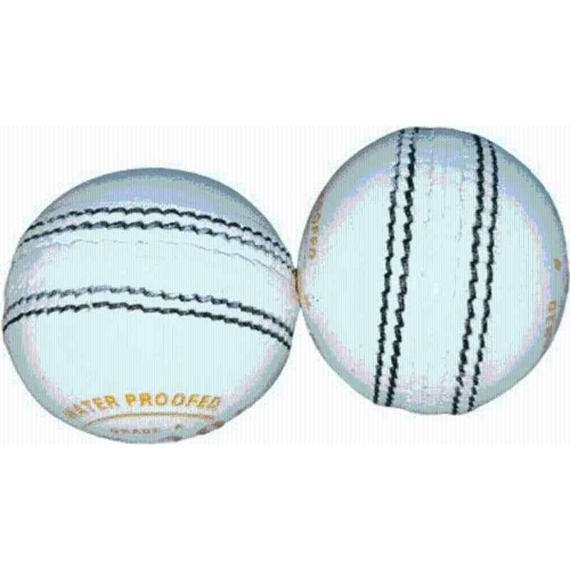 HTM T-20 2 PART Leather Cricket Ball (Pack of 2)
