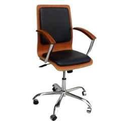 Arko Black Medium Back Fixed Gas Lift Ergonomic Chair, NW