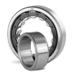 CNA NJ 205 A Cylindrical Roller Bearing, 52x25x15 mm (Pack of 4)