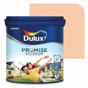 Dulux Promise 1 Litre Phenomenal Peach Gloss Finish Exterior Acrylic Emulsion Paint, FBCAAA-1