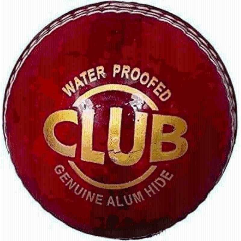 RB Sports Standard Red Cricket Leather Ball