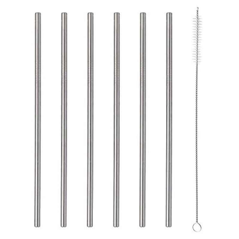 Viners 302.213 6 Pcs Stainless Steel Silver Barware Long Steel Drinking Straws Set with Straw Cleaner