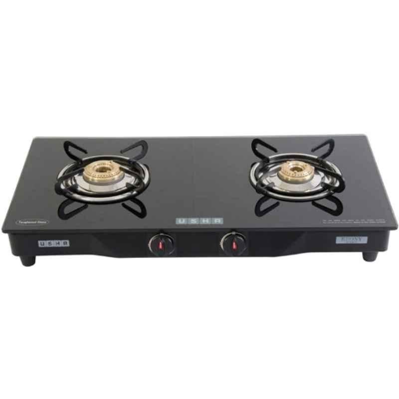 Usha Ebony Stainless Steel Manual 2 Burner Gas Stove, GS 3001 AI