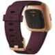 Fitbit Versa 2 Silicone Purple Strap Smart Watch, FB507RGRW