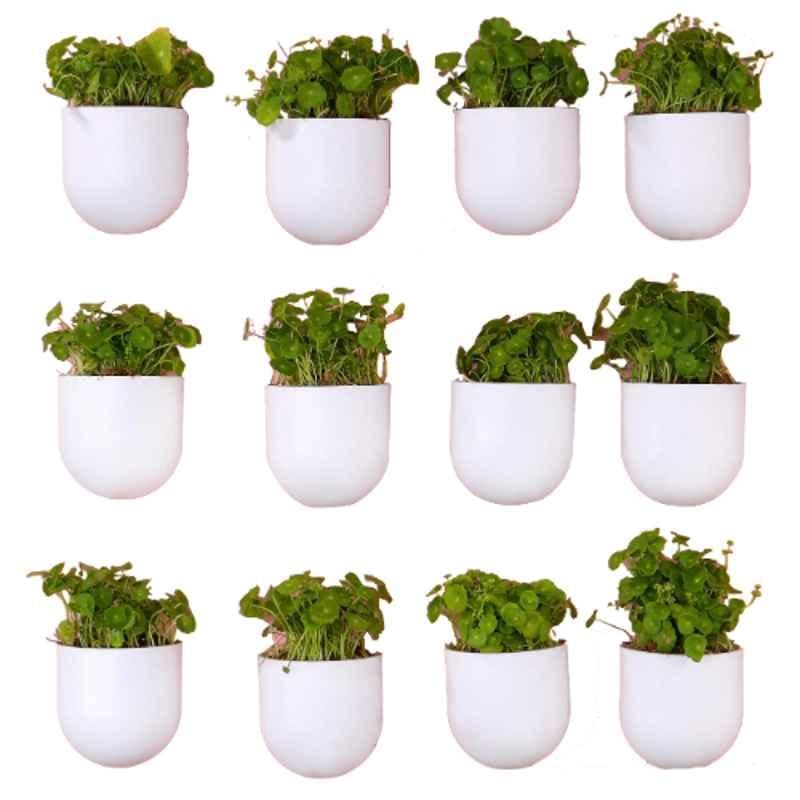 Blume Bubble 5.7 inch Plastic White Hanging Planter, BBS-WT-12 (Pack of 12)
