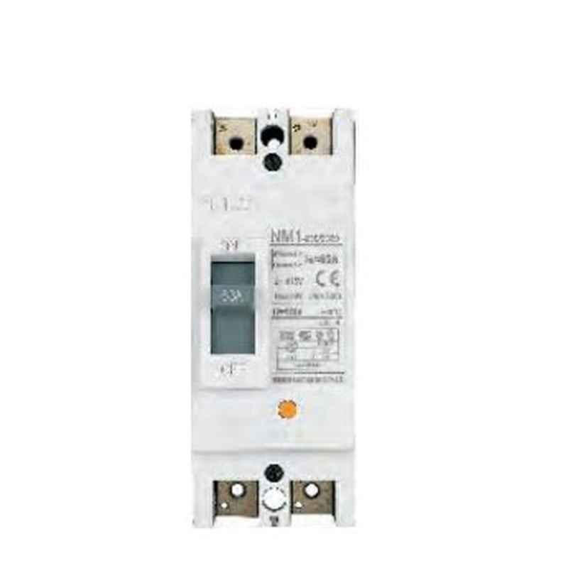 Chint DZ158-125 80A Double Pole Moulded Case Circuit Breakers, 158190