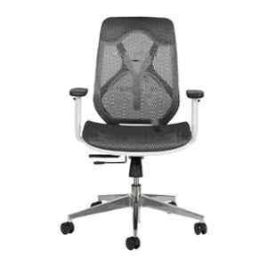 Innowin Berlin Grey & White Mesh Medium Back Ergonomic Chair