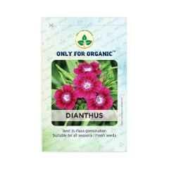 Only For Organic 50g Dianthus Flower Seeds, OFOPPDIA0050