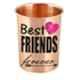 Healthchoice 400ml Jointless Copper Glass with Printed Best Friends Forever