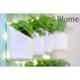Blume Prism 7 inch Plastic White Hanging Planter, PRS-WT-24 (Pack of 24)