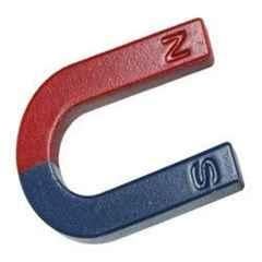 BEXCO 2 inch Red & Blue U-Shaped Magnet, HR67