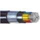 Finolex 4 Sqmm 1m 2 Core XLPE Armoured Cable with Copper Conductor