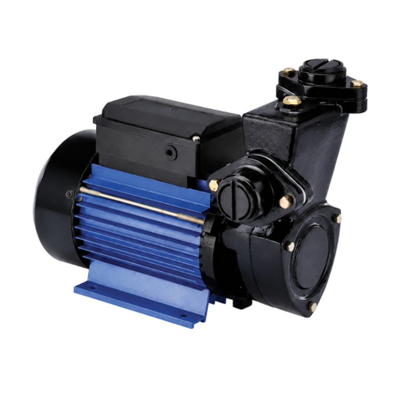 Rajco 0.5HP 0.37kW Cast Iron Single Phase Self Prime Water Pump