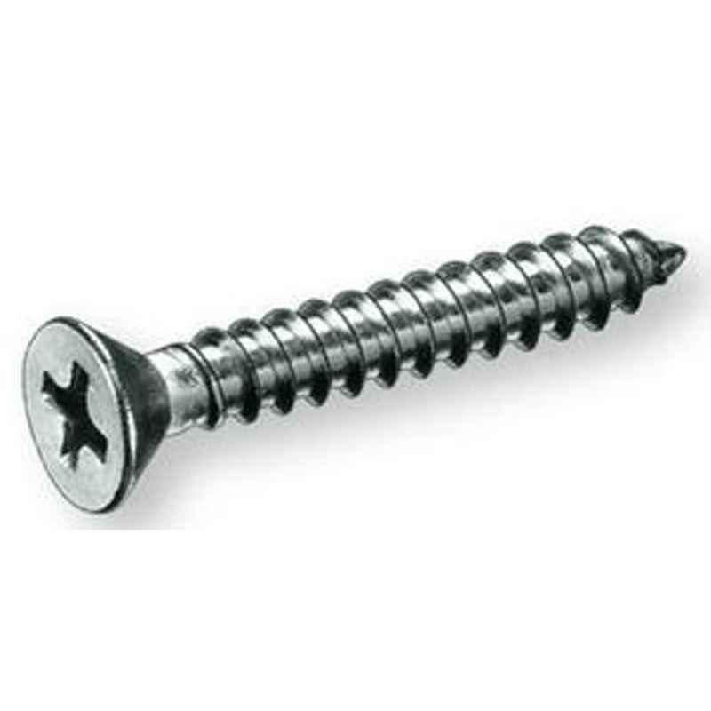 Raj 6mm Length 32mm Stainless Steel CSK Philips Self Tapping Screw