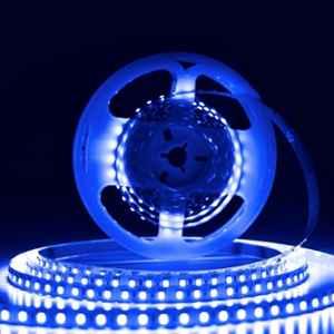 Forus 12V 5m 10mm Blue LED Strip Light