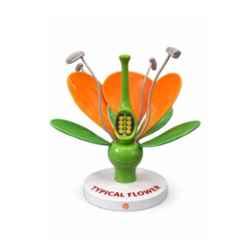 Harrison Enterprises Plastic Detailed 3D Flower Model