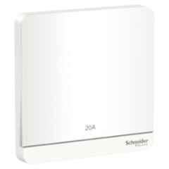 Schneider Electric Avataron 20A 1 Way Polycarbonate White Switch with LED Indicator, E8331D20N_WE_G8