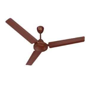 Buy Polycab Viva 75W 800rpm Luster 