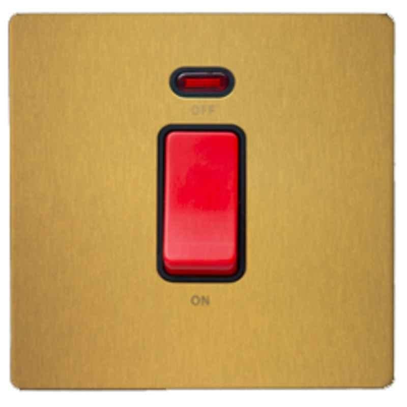 RR Vivan Metallic 20A Brushed Gold Marked Washing Machine DP Switch with Neon & Black Insert, VN6625M-WM-B-BG