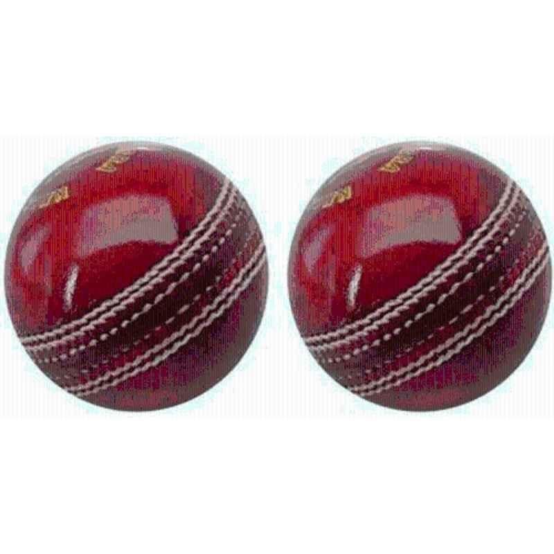 Sports Trading Leather Cricket Ball (Pack of 2)